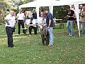 img 091